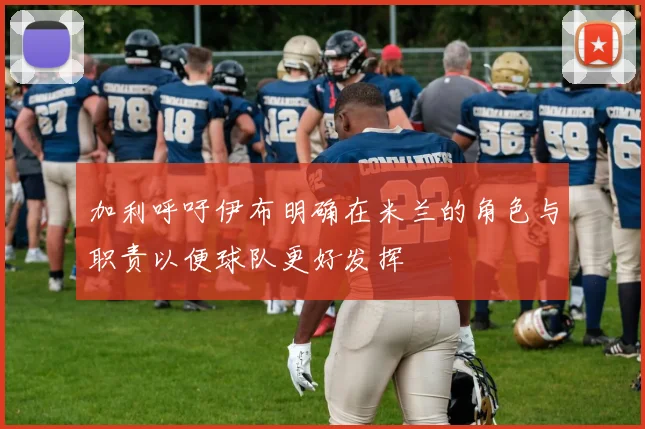 加利呼吁伊布明确在米兰的角色与职责以便球队更好发挥