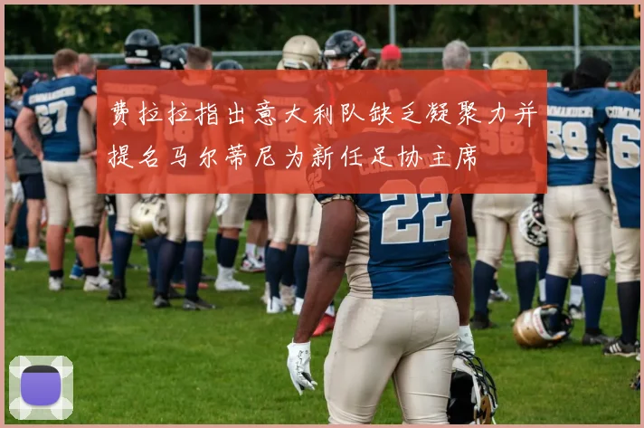 费拉拉指出意大利队缺乏凝聚力并提名马尔蒂尼为新任足协主席